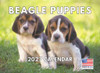 Beagle Puppy Calendar 2027  Monthly Wall Calender 12 Month