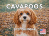 Cavapoo Calendar 2027 Monthly Wall Calender 12 Month