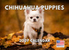 Chihuahua Puppies Calendar 2027 Monthly Wall Calender 12 Month