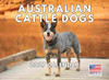 Australian Cattle Dog Calendar 2027 Monthly Wall Calender 12 Month