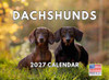 Dachshund Calendar 2027 Monthly Wall Calender 12 Month