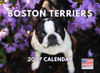Boston Terrier Calendar 2027 Monthly Wall Calender 12 Month