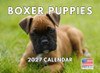 Boxer Puppy Calendar 2027 Monthly Wall Calender 12 Month