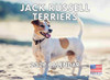 Jack Russell Terrier Smooth Coat Calendar 2027 Monthly Wall Calender 12 Month
