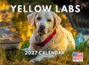 Yellow Lab Calendar 2027 Labrador Monthly Wall Calender 12 Month