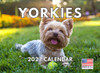 Yorkie Calendar 2027 Yorkshire Terrier Monthly Wall Calender 12 Month