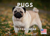 Pug Calendar 2027 Monthly Wall Calender 12 Month