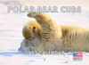 Baby Polar Bear Cubs Calendar 2027 Monthly Wall Calender 12 Month