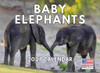Baby Elephant Calendar 2027 Monthly Wall Calender 12 Month