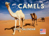 Camel Calendar 2027 Monthly Wall Calender 12 Month