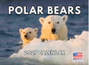Polar Bear Calendar 2027 Monthly Wall Calender 12 Month