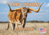 Texas Longhorn Calendar 2027 Cattle Monthly Wall Calender 12 Month