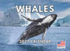 Whale Calendar 2027 Monthly Wall Calender 12 Month
