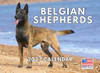 Belgian Shepherd Calendar 2027 Monthly Wall