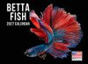Betta Fish Calendar 2027 Monthly Wall Calender 12 Month