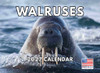 Walrus Calendar 2027 Monthly Wall Calender 12 Month