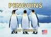 Penguin Calendar 2027 Monthly Wall Calender 12 Month