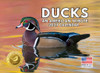 JJ Audubon Tribute Duck Calendar 2027 Ducks Monthly Wall Calender 12 Month