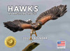 JJ Audubon Tribute Hawk Calendar 2027 Monthly Wall Calender 12 Month | American Made In The USA