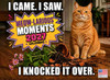 Funny Cat Calendar 2027 Cats Monthly Wall Calender 12 Month