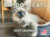 Ragdoll Cat Calendar 2027 Monthly Wall Calender 12 Month