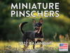 Miniature Pinscher Calendar 2027 Monthly Wall Calender 12 Month
