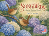 Watercolor Birds Calendar 2027 Monthly Bird Illustrations Wall Calender 12 Month