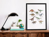 Different Dinosaur Types Poster Illustration Chart Dino for Kids Toddler Child Children Cute Picture Nursery Photograph Education Educational Classroom Kinder Cool Wall Art Print Poster 12x18
