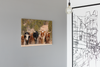 Texas Longhorn Herd Poster Cattle on Southern Utah Mountain Ranch Modern Room Decor Home Bedroom Office Decoration Farmhouse Wall Art Bull Animal Picture Cool Wall Art Print Poster 18x12
