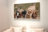 Texas Longhorn Herd Poster Cattle on Southern Utah Mountain Ranch Modern Room Decor Home Bedroom Office Decoration Farmhouse Wall Art Bull Animal Picture Cool Wall Art Print Poster 18x12