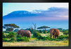 Majestic Elephant Couple Mount Kilimanjaro Volcano Tanzania Africa Animals Grazing Photo Photograph Colorful Landscape Black Wood Framed Art Poster 20x14