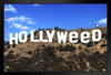 Hollyweed Poster Hollywood Sign Funny Marijuana Cannabis Room Dope Gifts Guys Propaganda Smoking Stoner Reefer Stoned Buds Pothead Dorm Walls Black Wood Framed Art Poster 14x20