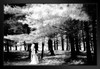 Find the Beauty in Hershey Black and White B&W Photo Art Print Black Wood Framed Poster 20x14