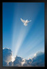Flying Dove and Clouds Spiritual Black Wood Framed Art Poster 14x20