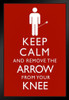 Keep Calm And Remove The Arrow From Your Knee Funny Black Wood Framed Poster 14x20