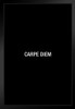 Carpe Diem Simple Black Wood Framed Art Poster 14x20