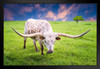 Texas Longhorn Cow Grazing at Dawn Photograph Bull Pictures Wall Decor Longhorn Picture Longhorn Wall Decor Bull Picture of a Cow Print Decor Bull Horns for Wall Black Wood Framed Art Poster 20x14