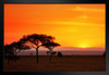 Serengeti Sunrise Panorama Photo Art Print Black Wood Framed Poster 20x14