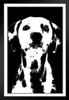 Dogs Dalmation Painting Black White Dog Posters For Wall Funny Dog Wall Art Dog Wall Decor Dog Posters For Kids Bedroom Animal Wall Poster Cute Animal Posters Black Wood Framed Art Poster 14x20