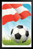 Austria Soccer Ball and Flag Sports Black Wood Framed Poster 14x20