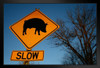 Pig Crossing Rural Kentucky Road Directional Sign Photo Art Print Black Wood Framed Poster 20x14