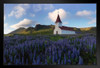 Viks Church and Lupines Iceland Photo Black Wood Framed Poster 14x20
