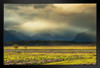 Landscape View Near Lake Tekapo New Zealand Photo Art Print Black Wood Framed Poster 20x14