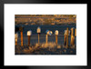 Roadside Rural Mailboxes Barstow California Photo Matted Framed Art Print Wall Decor 26x20 inch