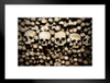 Skulls and Bones in Czech Republic Cemetery Grave Photo Matted Framed Art Print Wall Decor 26x20 inch