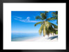 Palm Tree on a Beach in Paradise Photo Matted Framed Art Print Wall Decor 26x20 inch