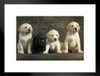 Togetherness Labrador Retriever Puppies Puppy Posters For Wall Funny Dog Wall Art Dog Wall Decor Puppy Posters For Kids Bedroom Animal Wall Poster Cute Animal Matted Framed Art Wall Decor 26x20