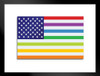 USA United States Rainbow Gay Lesbian Rights Flag Matted Framed Art Print Wall Decor 26x20 inch