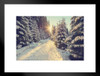 Sun Setting Snowy Mountain Trail Pine Trees Winter Christmas Sunset Photo Landscape Pictures Scenic Scenery Nature Photography Paradise Scenes Matted Framed Art Wall Decor 26x20