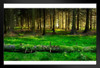 Mossy Forest Beside Snake Pass Derbyshire England Photo Black Wood Framed Art Poster 20x14